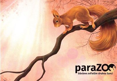 pohled paraZOO - různé druhy