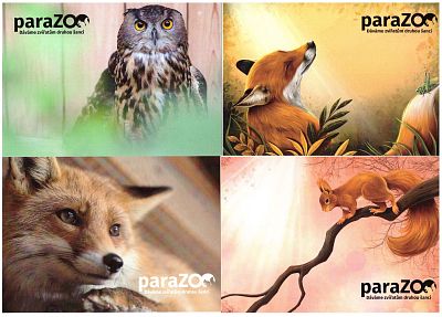 pohled paraZOO - různé druhy